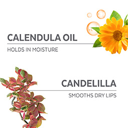 Calendula Oil: Holds in Moisture, Candelilla: Smooths Dry Lips