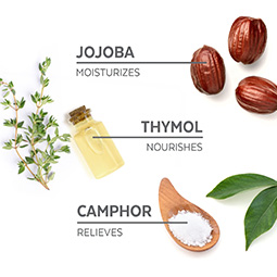 Jojoba: Moisturizes, Thymol: Nourishes, Camphor: Relieves